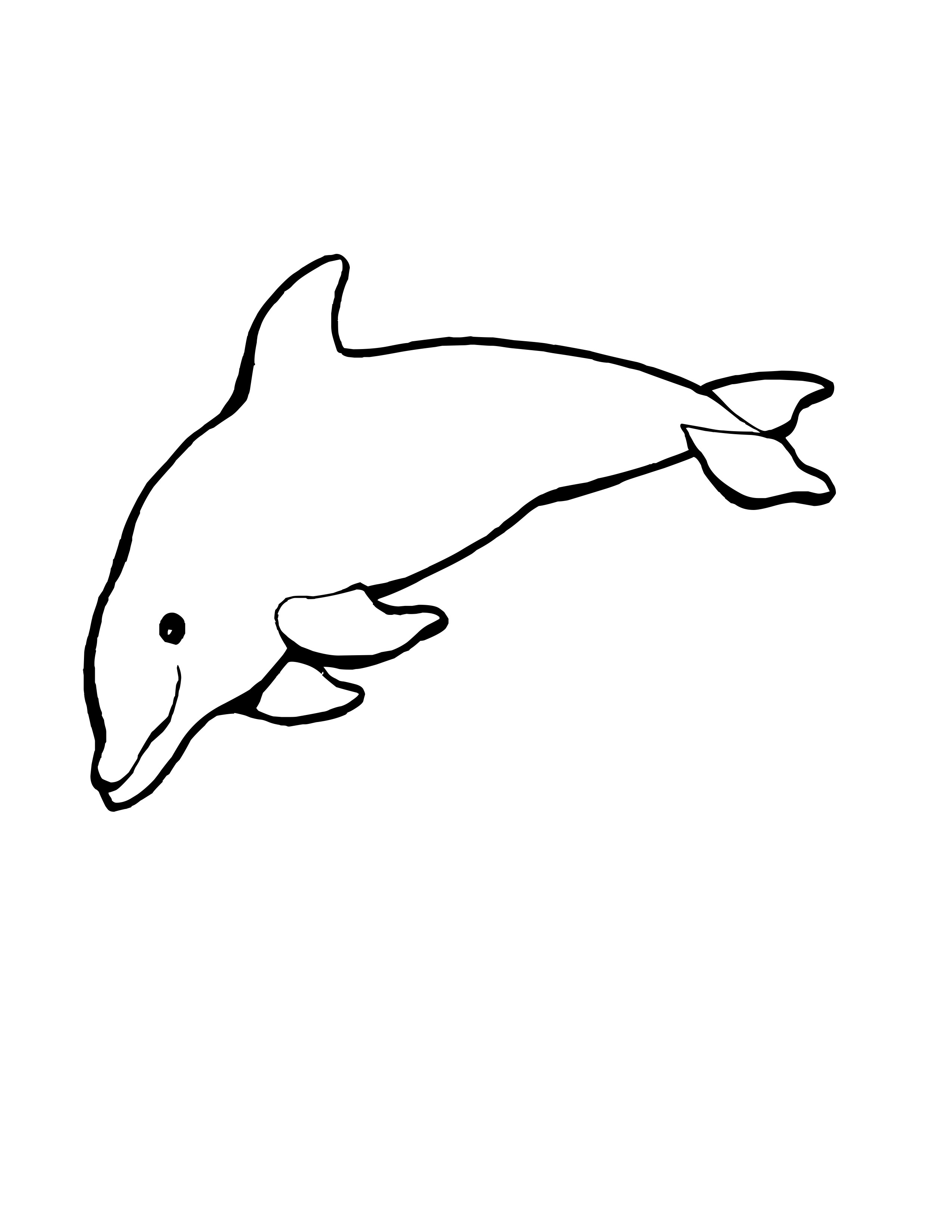 dolphin coloring pictures added aubrey